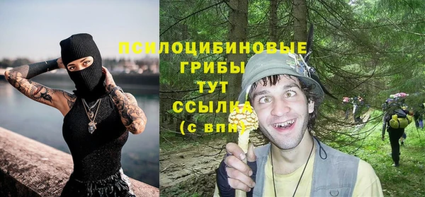 дмт Верхний Тагил