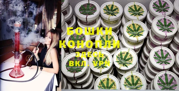 крисы Верея