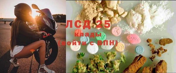 крисы Верея