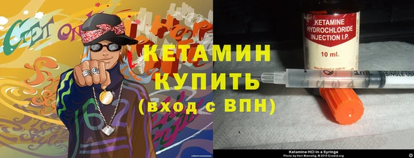крисы Верея