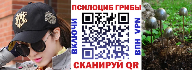 Галлюциногенные грибы ЛСД  Купить закладки  Щёлково 